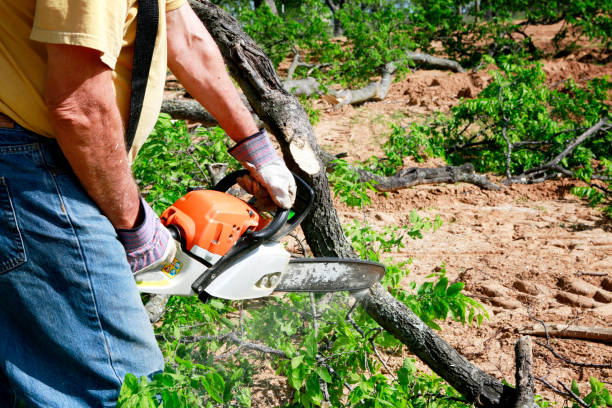 Best Commercial Tree Services  in Puget Island, WA